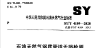 石油天然气钢制管道无损检测  SY/T 4109-2020